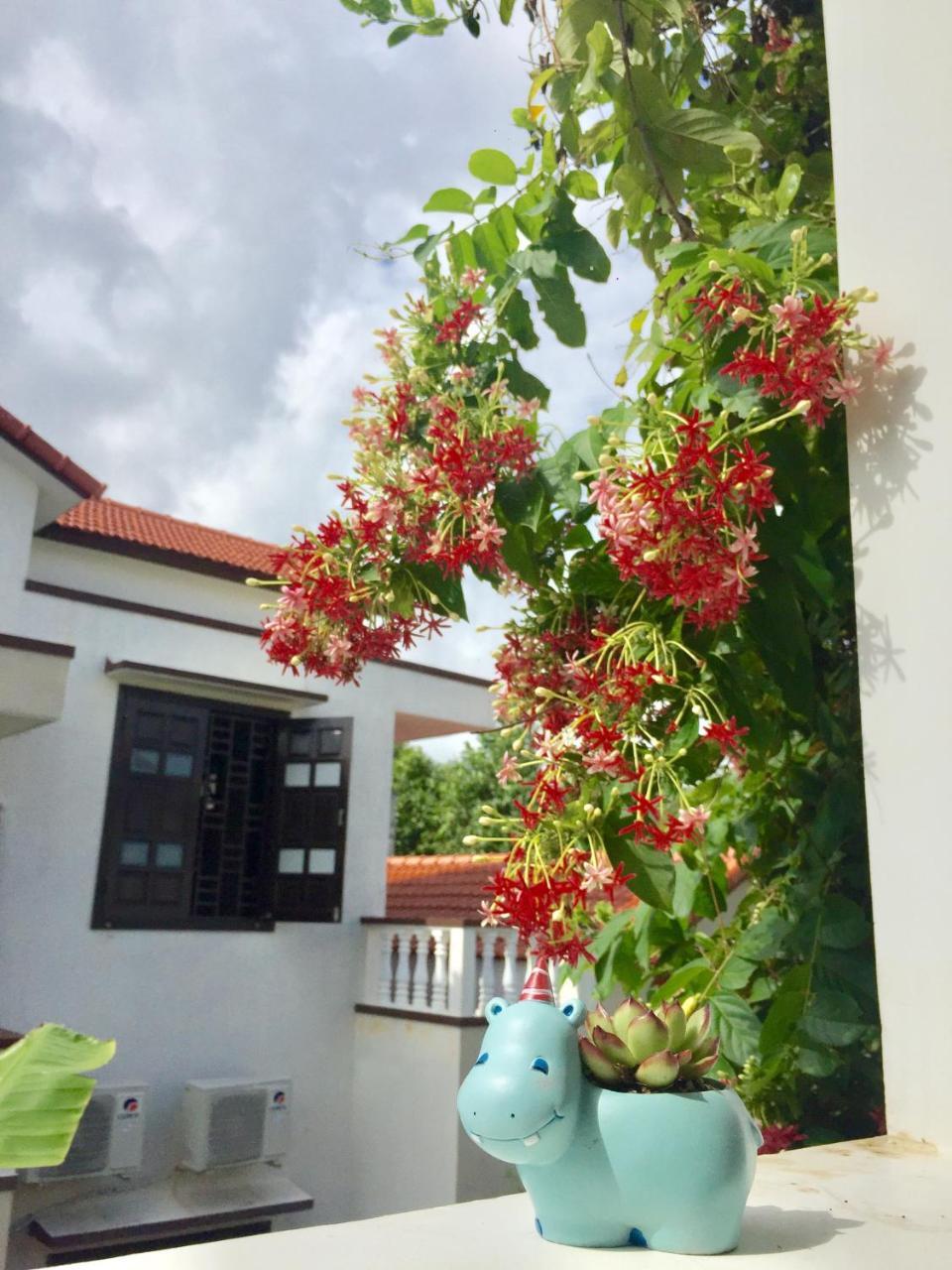 Holy Land Homestay Hoi An Exterior photo